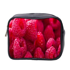 Raspberries Mini Toiletries Bag (two Sides) by artworkshop