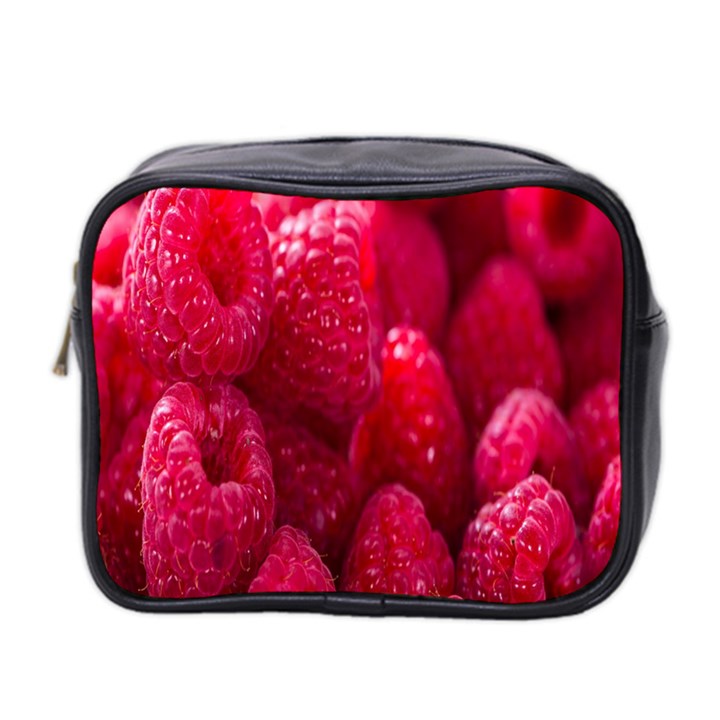 Raspberries Mini Toiletries Bag (Two Sides)