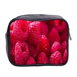 Raspberries Mini Toiletries Bag (Two Sides) Back