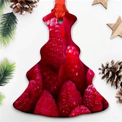 Raspberries Ornament (christmas Tree)  by artworkshop