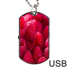 Raspberries Dog Tag Usb Flash (two Sides) by artworkshop