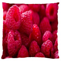 Raspberries Large Premium Plush Fleece Cushion Case (two Sides) by artworkshop