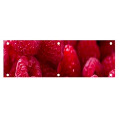 Raspberries Banner And Sign 6  X 2  by artworkshop