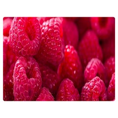 Raspberries Premium Plush Fleece Blanket (extra Small) by artworkshop