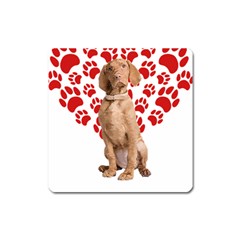 Vizsla Gifts T- Shirt Cool Vizsla Valentine Heart Paw Vizsla Dog Lover Valentine Costume T- Shirt Square Magnet by maxcute