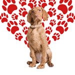 Vizsla Gifts T- Shirt Cool Vizsla Valentine Heart Paw Vizsla Dog Lover Valentine Costume T- Shirt Play Mat (Rectangle) Front