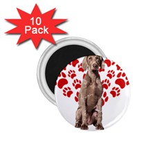 Weimaraner Gifts T- Shirt Cool Weimaraner Valentine Heart Paw Weimaraner Dog Lover Valentine Costume 1 75  Magnets (10 Pack)  by maxcute