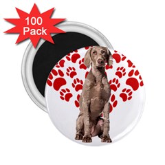 Weimaraner Gifts T- Shirt Cool Weimaraner Valentine Heart Paw Weimaraner Dog Lover Valentine Costume 2 25  Magnets (100 Pack)  by maxcute