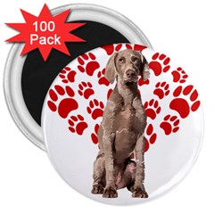 Weimaraner Gifts T- Shirt Cool Weimaraner Valentine Heart Paw Weimaraner Dog Lover Valentine Costume 3  Magnets (100 Pack) by maxcute