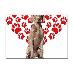 Weimaraner Gifts T- Shirt Cool Weimaraner Valentine Heart Paw Weimaraner Dog Lover Valentine Costume Sticker A4 (10 Pack) by maxcute