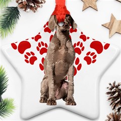 Weimaraner Gifts T- Shirt Cool Weimaraner Valentine Heart Paw Weimaraner Dog Lover Valentine Costume Star Ornament (two Sides) by maxcute