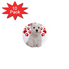 West Highland White Terrier Gift T- Shirt Cute West Highland White Terrier Valentine Heart Paw West 1  Mini Magnet (10 Pack)  by maxcute