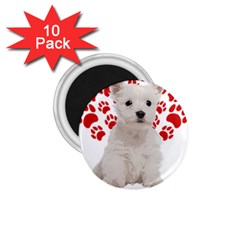 West Highland White Terrier Gift T- Shirt Cute West Highland White Terrier Valentine Heart Paw West 1 75  Magnets (10 Pack)  by maxcute