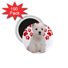 West Highland White Terrier Gift T- Shirt Cute West Highland White Terrier Valentine Heart Paw West 1 75  Magnets (100 Pack)  by maxcute