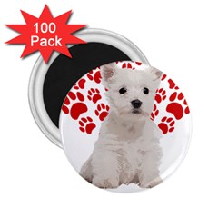 West Highland White Terrier Gift T- Shirt Cute West Highland White Terrier Valentine Heart Paw West 2 25  Magnets (100 Pack)  by maxcute