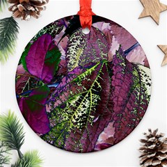 Leaves 21 Ornament (round) by DinkovaArt