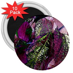 Leaves 21 3  Magnets (10 Pack)  by DinkovaArt