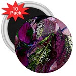 Leaves 21 3  Magnets (10 pack)  Front