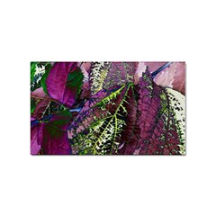 Leaves 21 Sticker (rectangular) by DinkovaArt