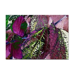 Leaves 21 Sticker A4 (100 Pack) by DinkovaArt