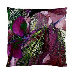 Leaves 21 Standard Cushion Case (one Side) by DinkovaArt