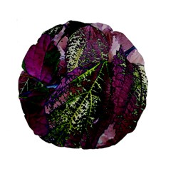 Leaves 21 Standard 15  Premium Round Cushions by DinkovaArt