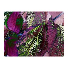 Leaves 21 Premium Plush Fleece Blanket (mini) by DinkovaArt