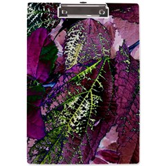 Leaves 21 A4 Acrylic Clipboard by DinkovaArt