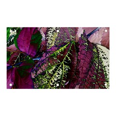 Leaves 21 Banner And Sign 5  X 3  by DinkovaArt