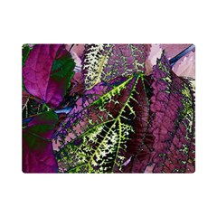 Leaves 21 One Side Premium Plush Fleece Blanket (mini)