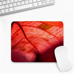 Leaf Copper Leaf Plant Nature Small Mousepad by Ravend