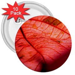 Leaf Copper Leaf Plant Nature 3  Buttons (10 Pack)  by Ravend