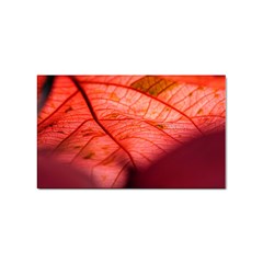 Leaf Copper Leaf Plant Nature Sticker (rectangular) by Ravend