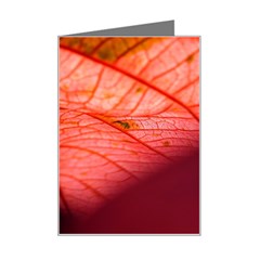 Leaf Copper Leaf Plant Nature Mini Greeting Card by Ravend