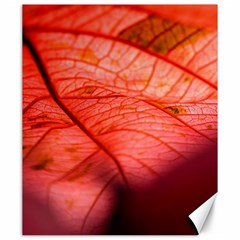 Leaf Copper Leaf Plant Nature Canvas 20  X 24  by Ravend