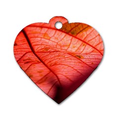 Leaf Copper Leaf Plant Nature Dog Tag Heart (two Sides) by Ravend