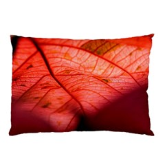 Leaf Copper Leaf Plant Nature Pillow Case by Ravend