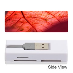 Leaf Copper Leaf Plant Nature Memory Card Reader (stick) by Ravend