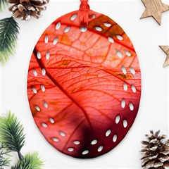 Leaf Copper Leaf Plant Nature Oval Filigree Ornament (two Sides)