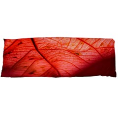 Leaf Copper Leaf Plant Nature Body Pillow Case (dakimakura) by Ravend