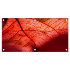 Leaf Copper Leaf Plant Nature Banner And Sign 4  X 2  by Ravend