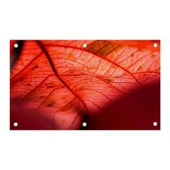 Leaf Copper Leaf Plant Nature Banner And Sign 5  X 3  by Ravend