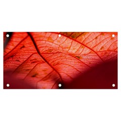 Leaf Copper Leaf Plant Nature Banner And Sign 6  X 3  by Ravend