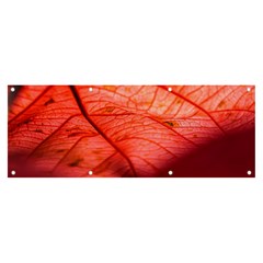 Leaf Copper Leaf Plant Nature Banner And Sign 8  X 3 