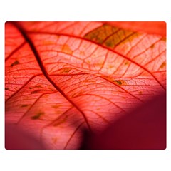 Leaf Copper Leaf Plant Nature One Side Premium Plush Fleece Blanket (medium)