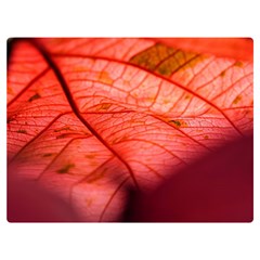 Leaf Copper Leaf Plant Nature Premium Plush Fleece Blanket (extra Small)