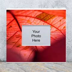 Leaf Copper Leaf Plant Nature White Wall Photo Frame 5  X 7 