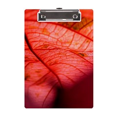 Leaf Copper Leaf Plant Nature A5 Acrylic Clipboard