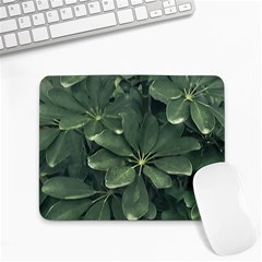 Leaves Closeup Background Photo1 Small Mousepad by dflcprintsclothing