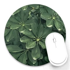 Leaves Closeup Background Photo1 Round Mousepad by dflcprintsclothing